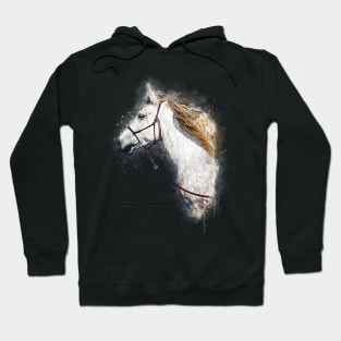 Magnificent Percheron Draft Horse Head 1 Hoodie